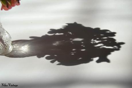 Blog hop, macro del dia ... Sombras