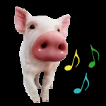 ¿Cómo recuperar la voz para cantar en 4 pasos? Voz nasal ¿Cómo combatirla?