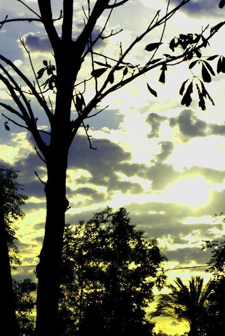 PUNTOS LIMPIOS DE RECICLAJE