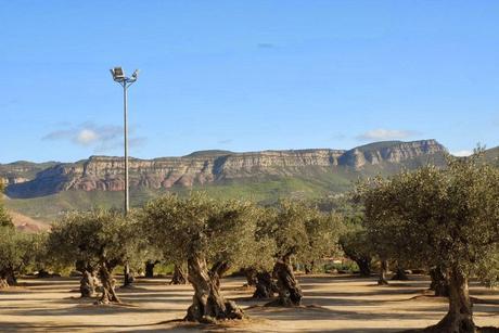 CALÇOTADA EN CAN TRAVER, BIGUES I RIELLS, BARCELONA...6-03-2014...!!! CALÇOTADA EN CAN TRAVER, BIGUES I RIELLS, BARCELONA...6-03-2014...!!!