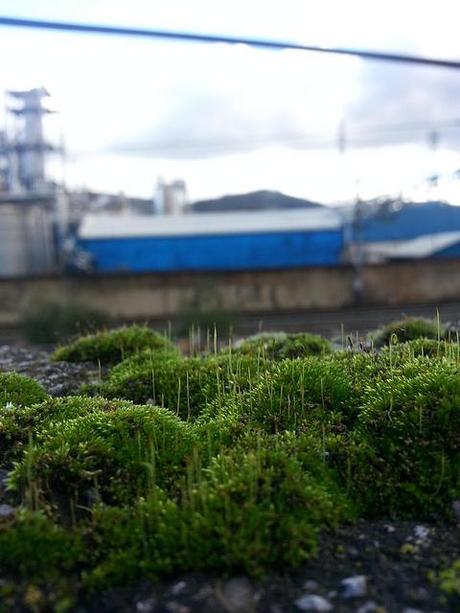 Androidografia Barakaldo 1647