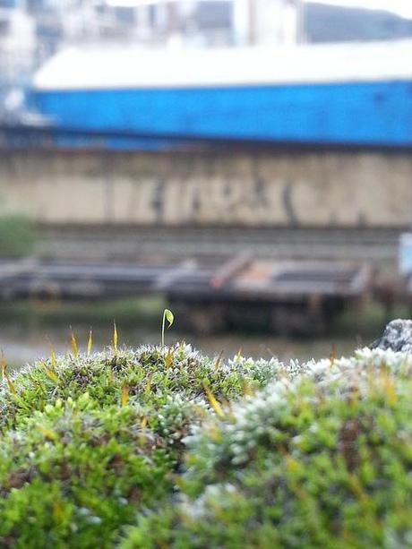 Androidografia Barakaldo 1648