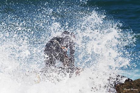 Percebeiros en Veiga