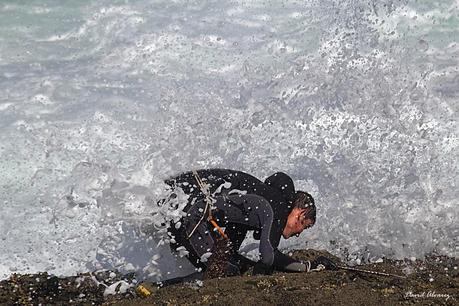 Percebeiros en Veiga
