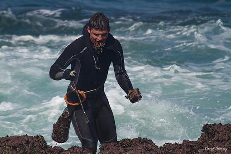 Percebeiros en Veiga
