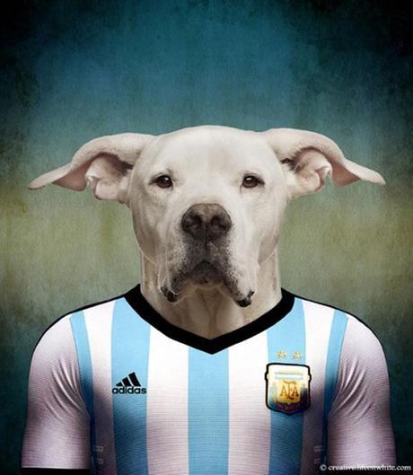 Soccer Nations Dogs, Dancing in movies, LG G Flex, Bike seat sculptures y HUVr :: 5 cortitas y al pie #4