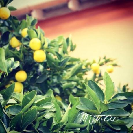 #unpaseoporloinvisible