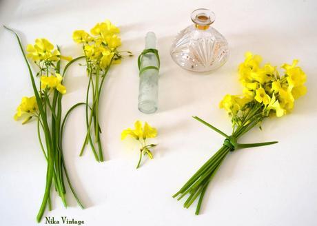 Diy con malas hierbas