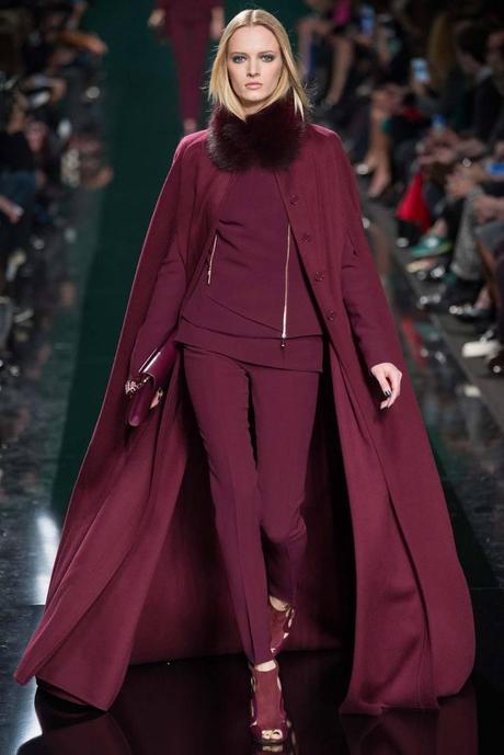 elie saab PFW ilovepitita PARIS FASHION WEEK O/I 2014 2015 (III)