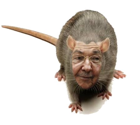 RUMORES: #7M comienza el fin