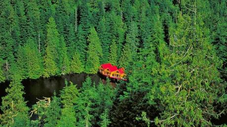 Lugares de Ensueño by Tarannà Luxury Travel: La Selva del gran oso