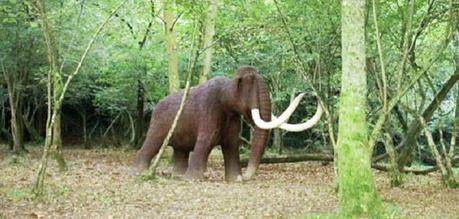 Qué hacer con niños en Cantabria (XVI) Qué hacer con niños en Cantabria (XVI)