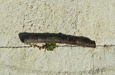 Tutorial para crear la antorcha de Tomb Raider 2013