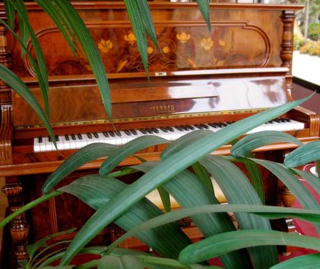 Cómo va la música en España?