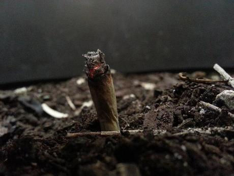 Androidografia Barakaldo 1649