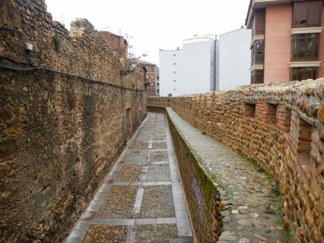Cerca medieval de León