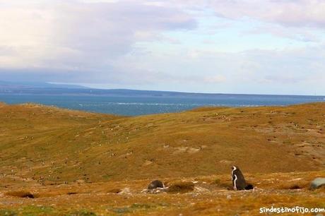 Isla de Magdalena