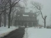 Niebla residencia