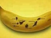 plátano Canarias