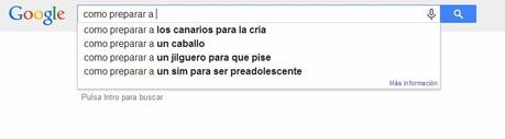 BÚSQUEDAS CURIOSAS EN GOOGLE
