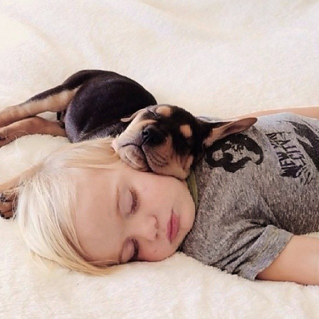 ¿Te lo has perdido?