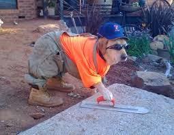 ¡Trabajo para todos...!