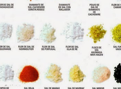 ¿Qué utilizas cocina?