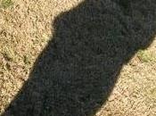 Sombra asombras