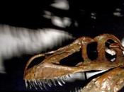 nueva especie hallada Portugal, dinosaurio carnívoro grande Europa