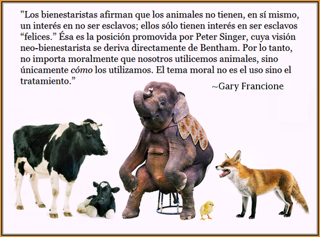 Bienestarismo y Bienestar Animal: algunas aclaraciones