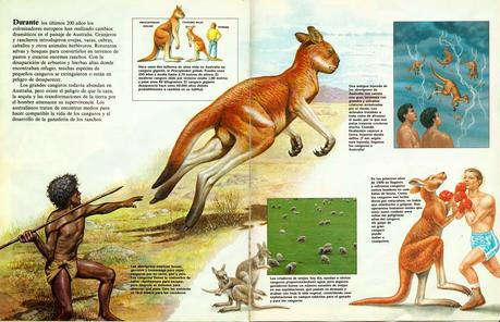 ZOOBOOKS: Procoptodon goliah (y megafauna australiana)