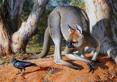 ZOOBOOKS: Procoptodon goliah (y megafauna australiana)
