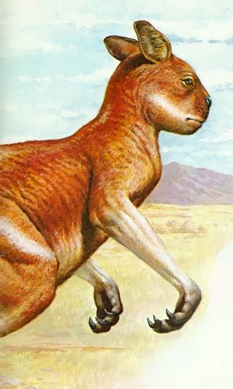 ZOOBOOKS: Procoptodon goliah (y megafauna australiana)
