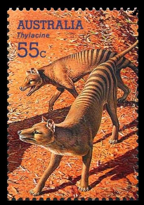 ZOOBOOKS: Procoptodon goliah (y megafauna australiana)