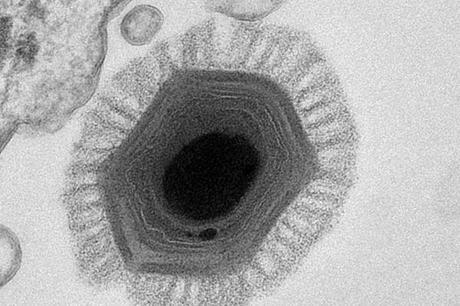 El Asombroso Mundo de los Gigantes Pequeñitos