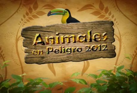 Gonzzo Ztudio - VIDEO REEL - Diseño, Publicidad, Animación, Multimedia y Web