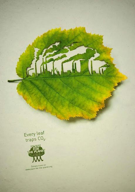Publicidad muy creativa e innovadora (Recomendado)