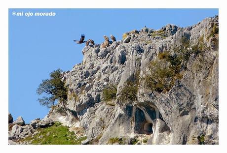 Subida al monte Salpico. Cantabria Subida al monte Salpico. Cantabria