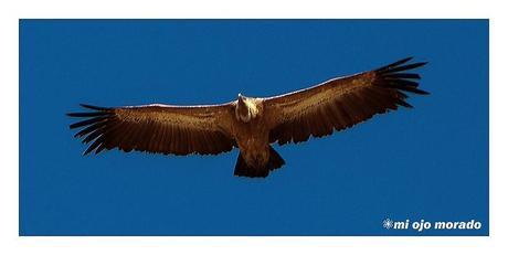 Subida al monte Salpico. Cantabria Subida al monte Salpico. Cantabria