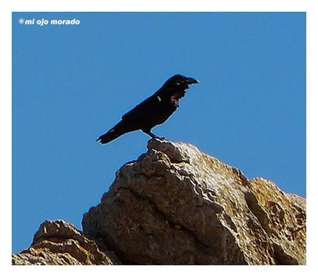 Subida al monte Salpico. Cantabria