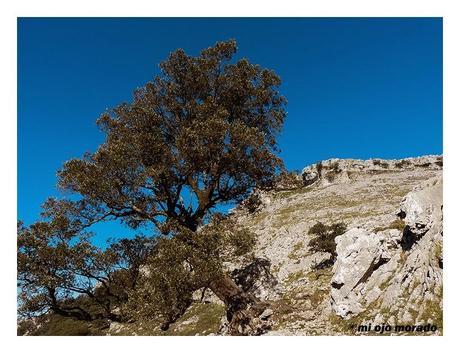 Subida al monte Salpico. Cantabria Subida al monte Salpico. Cantabria
