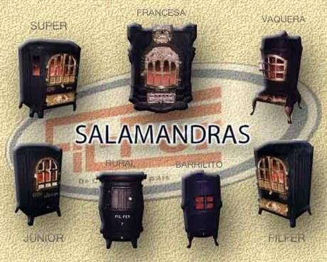 Las salamandras y el fuego: mitos, leyendas sobre un animal inofensivo