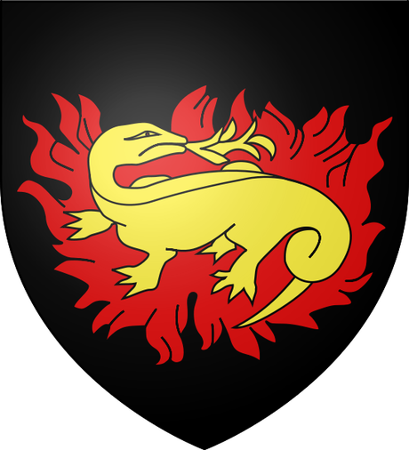 Las salamandras y el fuego: mitos, leyendas sobre un animal inofensivo