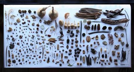 Molt Personal: exposición de Toni Arola en Matèria, a partir del 13 de marzo 8 arola en materia