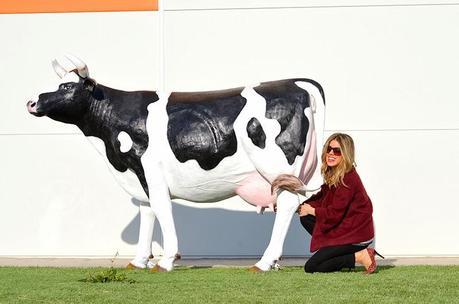 Burgundy, black and white!