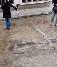 11M : BANDERA FALSA-SERVICIOS SECRETOS