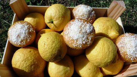 Magdalenas de coco y lemon curd