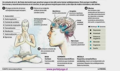 ESTUDIOS PRUEBAN QUE EL YOGA MEJORA LA SALUD MENTAL