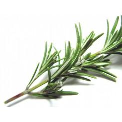 10 Especias para tu salud y cómo utilizarlas