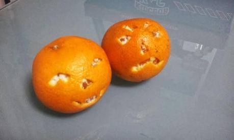 Lo blanco del jamón (por Arantxa)